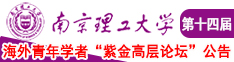 插逼射精视频南京理工大学第十四届海外青年学者紫金论坛诚邀海内外英才！